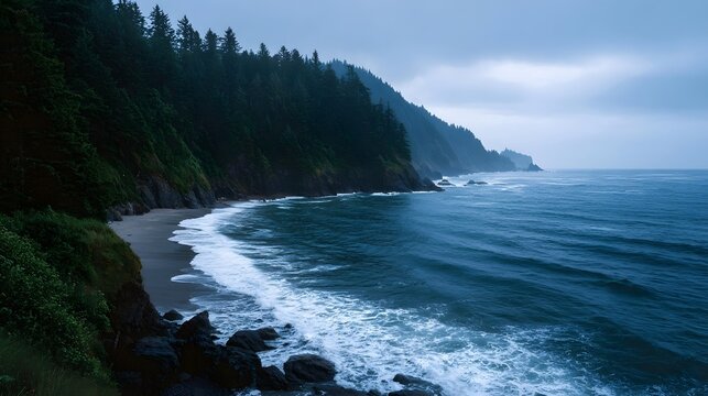 A dramatic view of lush forest meeting the ocean tide under a moody cloudy sky