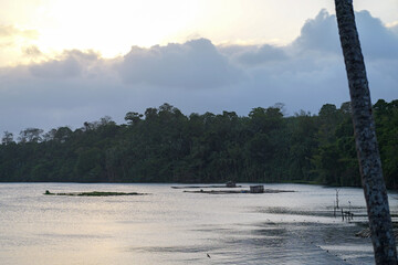 Peaceful Lakeside Scene with Floating Fish Farms and Forest at Sunset © Cherish