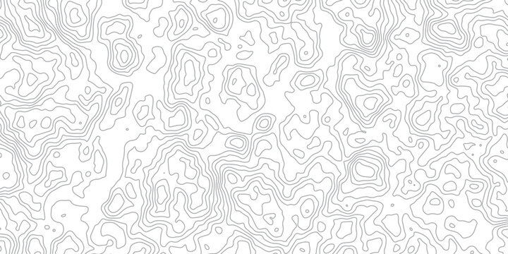 Seamless topographic map contour lines pattern white background abstract background.