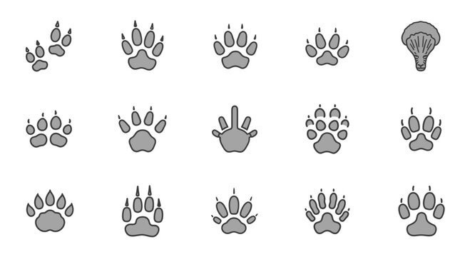 Collection of various animal paw prints.