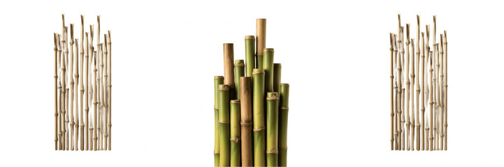 Fresh Green Bamboo Stalks and Leaves Isolated PNG, Zen Nature Plant Element for Spa, Wellness, and Asian Style Design Projects © nova