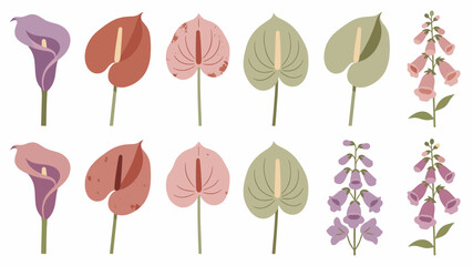 A serene and artistic illustration of calla lilies, perfect for conveying beauty, sophistication, and natural elegance in design projects. Use for web © jajang