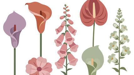 A delicate and stylish illustration of calla lilies and a rose, perfect for adding a touch of sophistication to wedding invitations, feminine branding © jajang