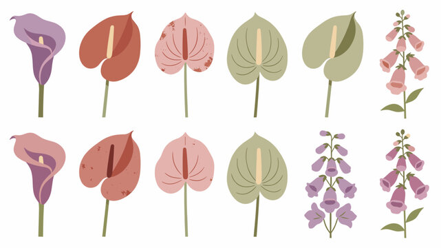 A serene and artistic illustration of calla lilies, perfect for conveying beauty, sophistication, and natural elegance in design projects. Use for web