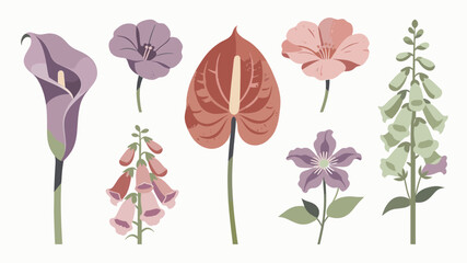A delicate, stylized illustration of a calla lily and foxglove blossoms. Perfect for botanical designs, spring themes, or adding a touch of elegance t © jajang