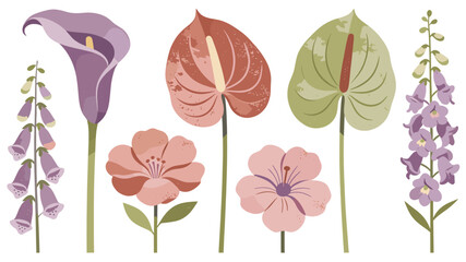 A delicate illustration of foxglove and hibiscus flowers, ideal for botanical designs, spring themes, or adding a natural, elegant touch to various pr © jajang