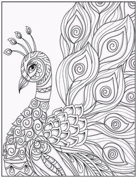 Animal Mandalas (Mindfulness) Coloring book .Peacock in zentangle style. Adult antistress coloring page.