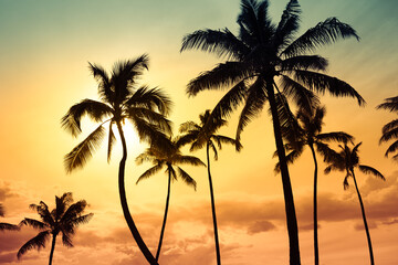 Obraz premium Tropical Palm Trees Silhouette at Sunset Ocean Paradise Hawaii 
