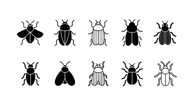 Various insect illustrations in monochrome