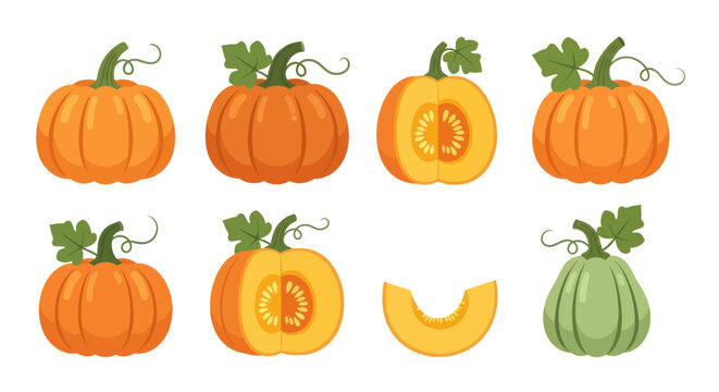 Vibrant pumpkin collection on white background