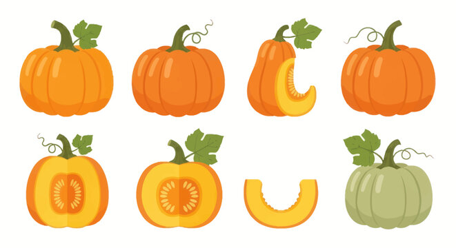 Vibrant pumpkins collection isolated illustration