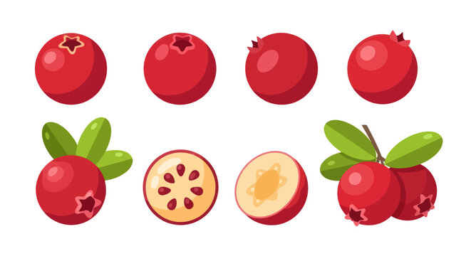 Vibrant red cranberries with green leaves