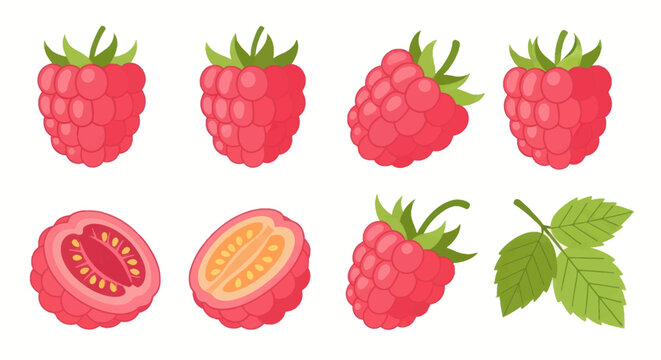 Vibrant vector illustration of raspberries