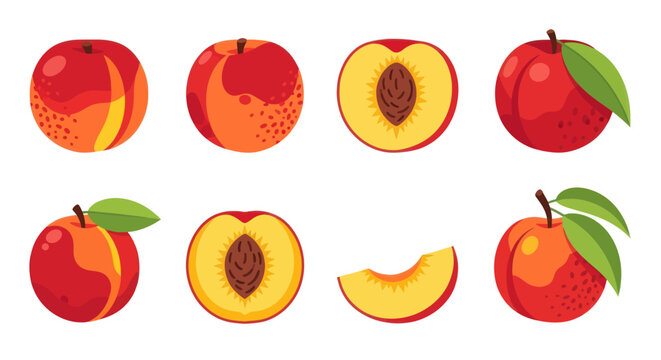 Vibrant vector illustration of ripe peaches