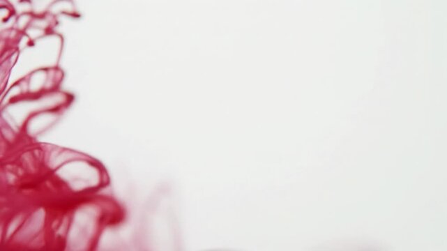 Extreme macro video: crimson red & rose pink ink drops disperse in crystal water, forming mesmerizing tendrils & ethereal gradients on a bright white background. Abstract fluid art concept