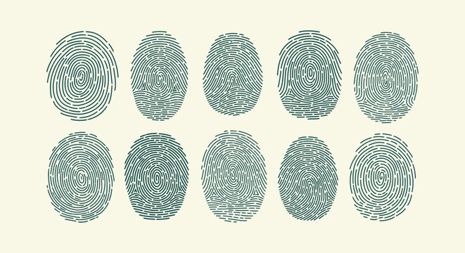 Set of unique fingerprint patterns for biometric security, forensic science and identity concepts