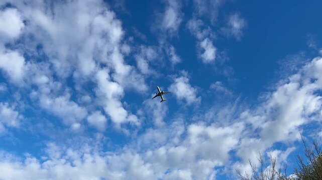 Low angle shot of large passenger airplane flying directly overhead in clear blue sky, powerful and impressive plane flying high over trees bottom view, concept of voyage, travelling, transportation