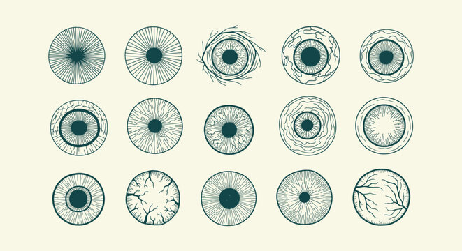 Collection of hand drawn vintage eye iris vector illustrations with different pupil designs set.