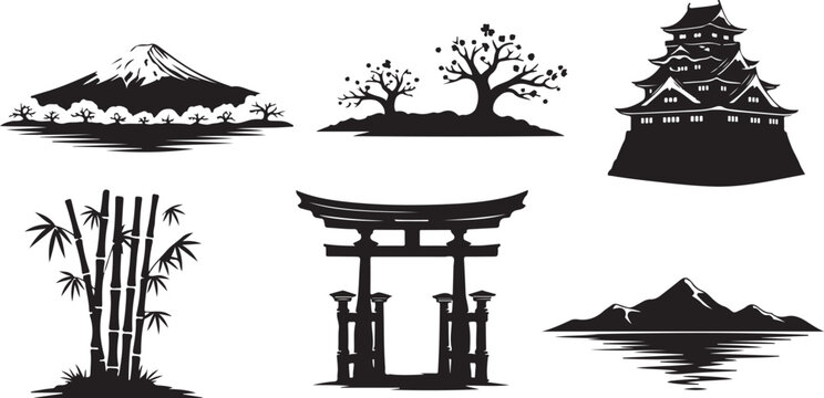 Black and white of mountain landscapes, pine trees, and a wooden bench forest pine needles de
