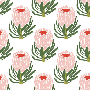 Geometric pastel pink hand drawn protea seamless pattern 
