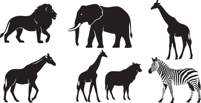 Black and white of various animals: cow, horse, pig, sheep, dog, cat, and zebra