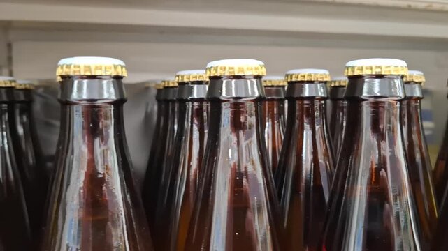 Rows of dark brown glass beer bottles with white and gold crown caps on store shelf. Beverage production, retail, and brewing industry. Craft beer, soda, or bottling plant