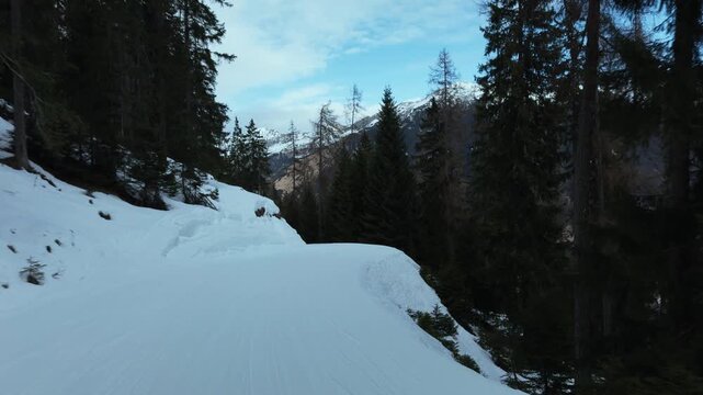 Active winter lifestyle at Lermoos ski area with skiers descending alpine mountain forest trails. Shot on a smartphone
