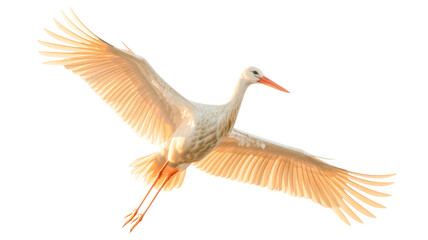 Obraz premium Majestic white stork with glowing wings gracefully soaring through the sky on transparent background