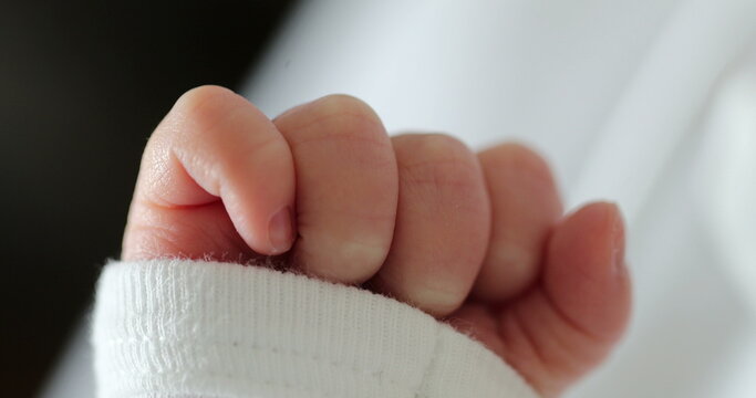 Close-up of newborn baby hand in macro