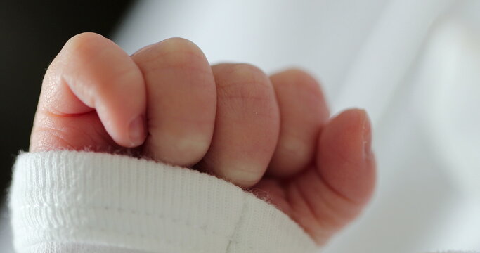 Close-up of newborn baby hand in macro