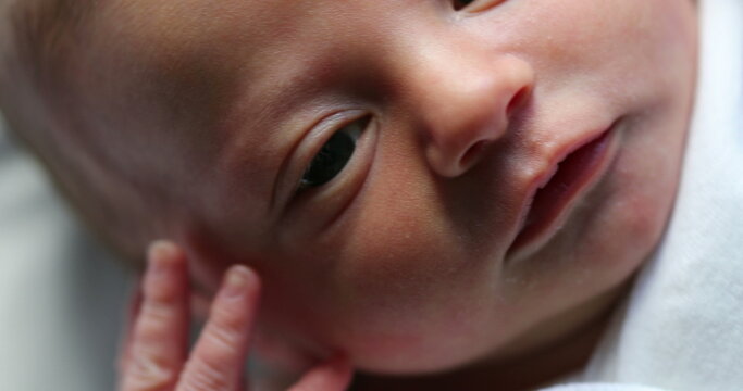 Closeup of infant newborn baby in first day of life