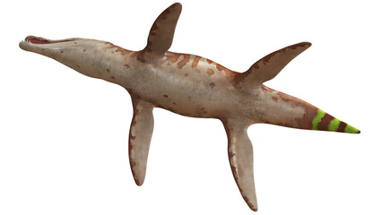 Plesiosaurus with distinctive fin markings © Ilie