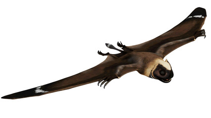 Realistic 3D rendering of a prehistoric flying dinosaur. © Ilie