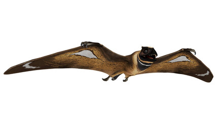 Flying ancient pterosaur with wide wingspan. © Ilie
