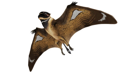 Realistic illustration of a Pterosaur in flight. © Ilie