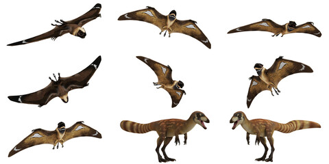 Flying and ground poses of prehistoric dinosaur. © Ilie