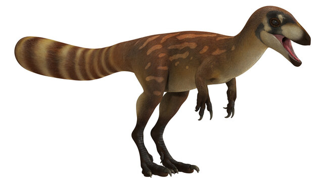 Illustration of a feathered dinosaur in motion