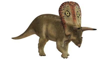 Triceratops dinosaur model in detailed display. © Ilie