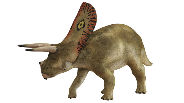 Realistic depiction of a Chasmosaurus dinosaur