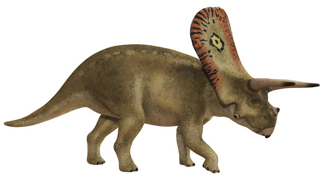 Illustration of a Torosaurus dinosaur.