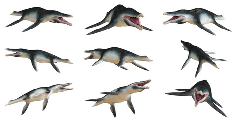 Nine Plesiosaur Illustrations on White Background © Ilie