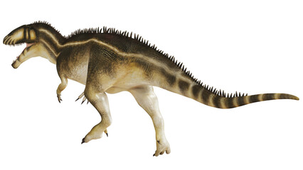Fototapeta premium Realistic dinosaur illustration with spiky back.