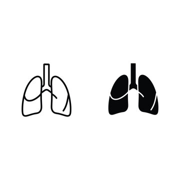 Pulmonary System in Focus: A minimalist graphic illustration of the human pulmonary system.