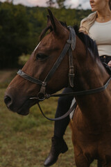 Obraz premium Horse riding in an open field at dusk with a rider dressed in casual clothing close-up photo