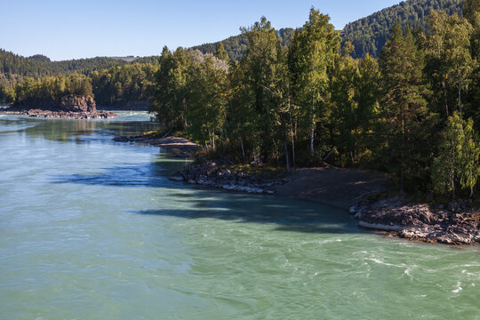 A calm green Katun river winds along a rocky forested shore lined with birch trees reflecting sunlight under a clear blue sky with tree-covered hills and distant mountains for a peaceful outdoor scene