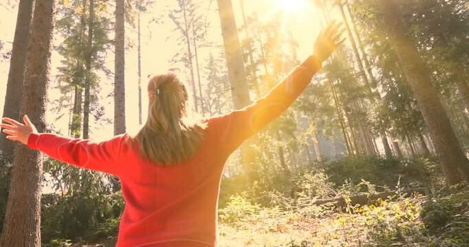 Young woman enjoys at beautiful sunset in pine forest mountain, slow motion, closeup of happy woman spreads her arms and bright sun, branches of the pine trees, season travel nature idyllic