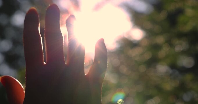 Female hand touching the sun - slow motion, sunlight passing through fingers, pine forest mountain at sunset, closeup shining sun and the branches of the trees, season travel nature idyllic