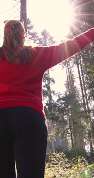 Young woman enjoys at beautiful sunset in pine forest mountain, slow motion, closeup of happy woman spreads her arms and bright sun, branches of the pine trees, season travel nature idyllic