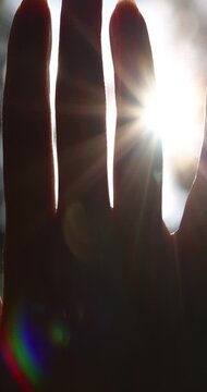 Female hand touching the sun - slow motion, sunlight passing through fingers, pine forest mountain at sunset, closeup shining sun and the branches of the trees, season travel nature idyllic