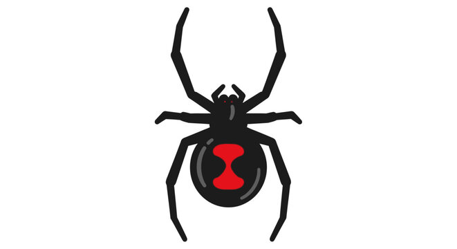 Black widow spider illustration isolated on white background